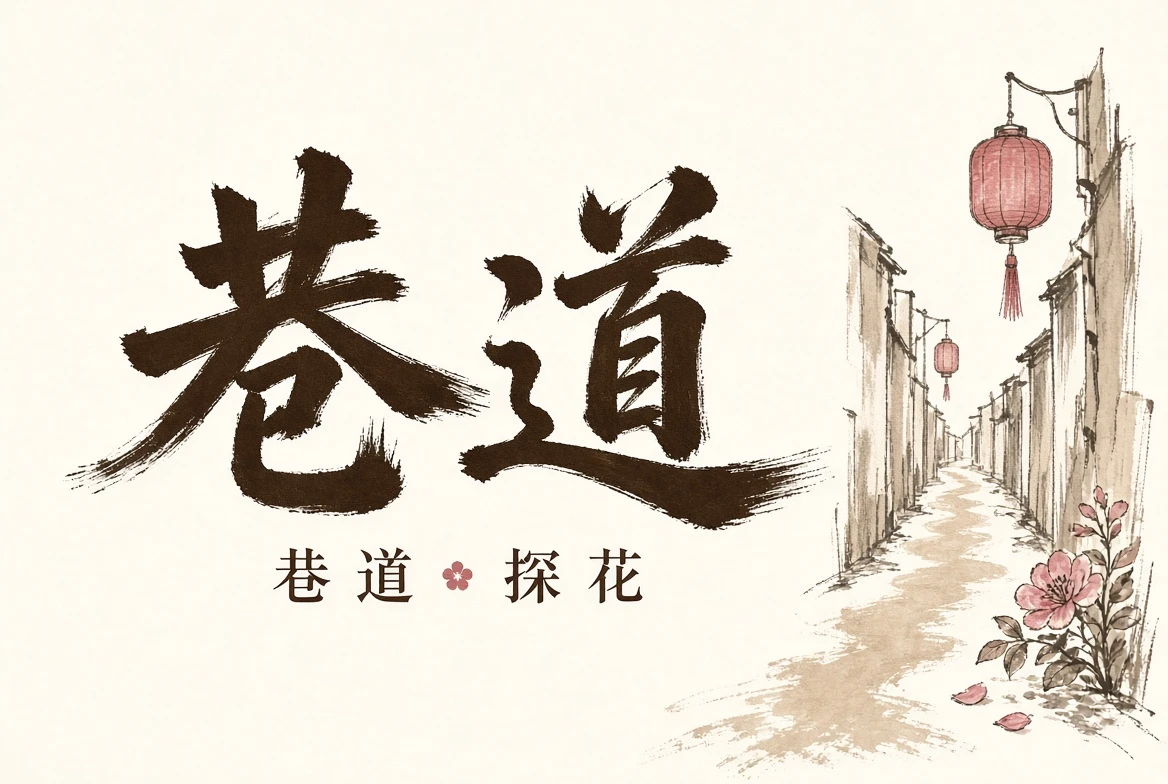 探花街巷观察